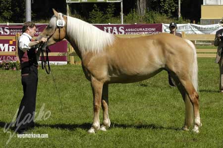 �ty�let� Gundi po Anton S�dtirol (It�lie) zv�t�zila ve sp�e�en�