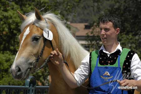 V�t�zka hodnocen� exteri�ru t��let� Isabell (po Antinor, It�lie)