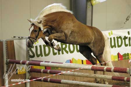 Sk�k�n� ve volnosti v pod�n� p�tilet� Stella-Marie po St�wer, N�mecko