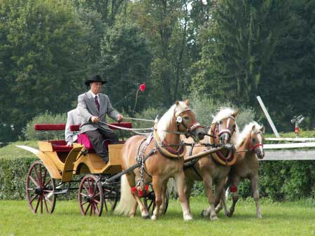 Sp�e�en� klisen Astry a Hanny pana Dr�pely