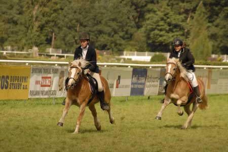 Fini� speci�ln�ho dostihu  - v�t�zka Kl�ra a druh� v po�ad� Am�lka (foto Ji�� B�lohlav)