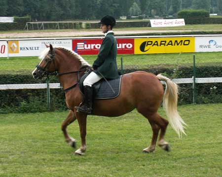 Franti�ek Volek p�edvedl drez�ru na klisn� Lind�