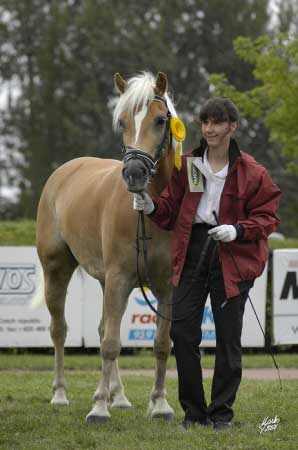 �ampionka mezi mlad�mi klisnami v �R, Matra (foto V�ra Markov�)