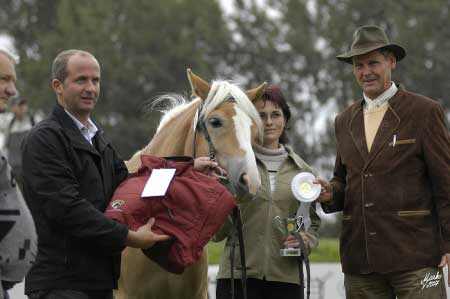 Druh� m�sto z�skala klisna B�ra (foto V�ra Markov�)