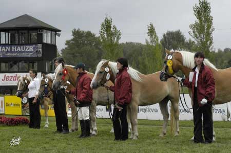 ��astnice �ampion�tu (foto V�ra Markov�)