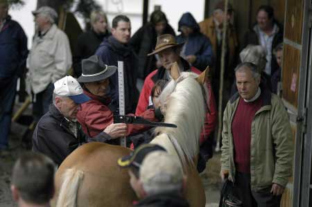 H�ebe�ci jsou p�ed vypu�t�n�m zm��en� a ozna�eni ��slem