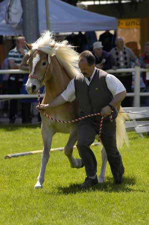 Na posouzen� mechaniky pohybu se klade velk� d�raz