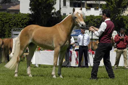 Druh� Letizia po Nobody