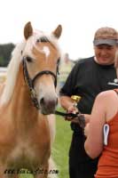 H�ebe�ek Adam, �ampion mlad�ch. Pro zv�t�en� klikn�te