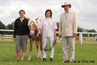 Posuzovatel� a Vice�ampionka v�stavy, klisna Nexie. Pro zv�t�en� klikn�te