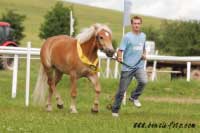 �estn� kolo �ampionky v�stavy, klisny Oliny. Pro zv�t�en� klikn�te