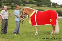 �ampionka v�stavy, klisna Olina s hlavn� cenou. Pro zv�t�en� klikn�te