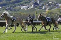 Kuriozita... Pro zv�t�en� klikn�te