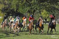 Cvalov� dostihy hafling� maj� v It�lii velkou tradici. Pro zv�t�en� klikn�te