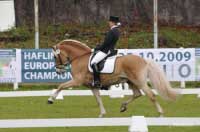 Nebos zv�t�zil v drez��e i parkuru. Pro zv�t�en� klikn�te