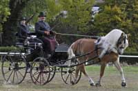 Velk� italsk� nad�je pro sout� jednosp�e�� - Minos. Pro zv�t�en� klikn�te