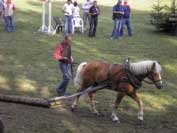 Ovladatelnost - St-Largos. Pro zv�t�en� klikn�te