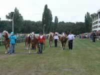 Zahajovac� pr�vod. Pro zv�t�en� klikn�te