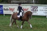 K�r Pavly Daumann a Holy Stripe. Pro zv�t�en� klikn�te