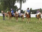 Dekorov�n� ��astn�k� dostihu. Pro zv�t�en� klikn�te