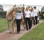 Chovatelsk� p�ehl�dka. Pro zv�t�en� klikn�te