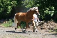 H�ebec Aquavit v klusu. Pro zv�t�en� klikn�te