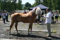 H�ebec Aquavit. Pro zv�t�en� klikn�te