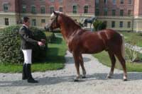 H�ebec Lukas. Pro zv�t�en� klikn�te