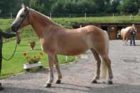 Klisna Olympia. Pro zv�t�en� klikn�te