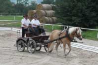 Klisna Nella. Pro zv�t�en� klikn�te