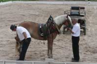 Zkou�ka charakteru. Pro zv�t�en� klikn�te