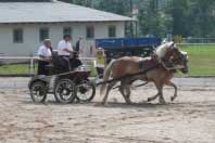 Saxana a Lucka p�i drez�rn� zkou�ce. Pro zv�t�en� klikn�te