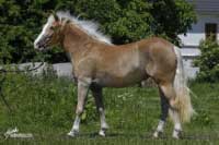 Klisna Lucka (p. Barto�). Pro zv�t�en� klikn�te