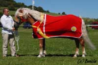 H�ebec Aquavit I., �ampion v�stavy. Pro zv�t�en� klikn�te