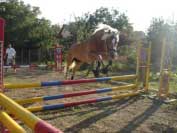 Merlin - skok ve volnosti. Pro zv�t�en� klikn�te