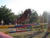 �ikita m�la po Merlinovi nejlep�� skok ve volnosti. Pro zv�t�en� klikn�te