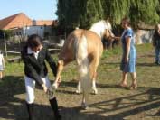 Zkou�ka charakteru. Pro zv�t�en� klikn�te