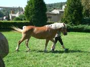 Anetta. Pro zv�t�en� klikn�te