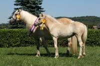 F�bie a Fly Fiona. Pro zv�t�en� klikn�te