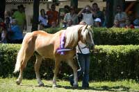 Nathan. Pro zv�t�en� klikn�te