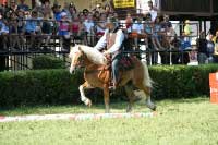 Trail - St-Largos a Richard Trefil. Pro zv�t�en� klikn�te