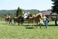 Zenita a jej� potomci. Pro zv�t�en� klikn�te