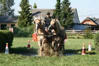 Zoran a Zaf�r. Pro zv�t�en� klikn�te