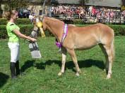 Zorka. Pro zv�t�en� klikn�te