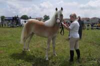 �ampionka mlad�ch Aschely. Pro zv�t�en� klikn�te