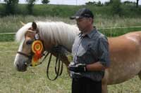 Bohdan. Pro zv�t�en� klikn�te