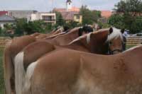 N�stup. Pro zv�t�en� klikn�te