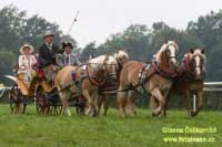 V doprovodn� programu se p�edvedlo �ty�sp�e�� p�n� Musila a Dr�pely. V druh� ��sti programu pak oba chovatel� uk�zali n�dhern� ozdoben� do��nkov� z�p�e�e. Pro zv�t�en� klikn�te