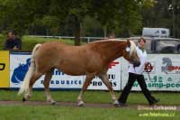 Klisna Lendy. Pro zv�t�en� klikn�te