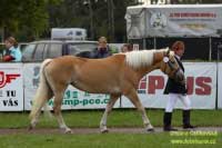 Getty. Pro zv�t�en� klikn�te